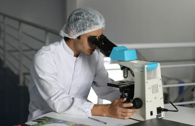 Investigador a observar ao microscópio